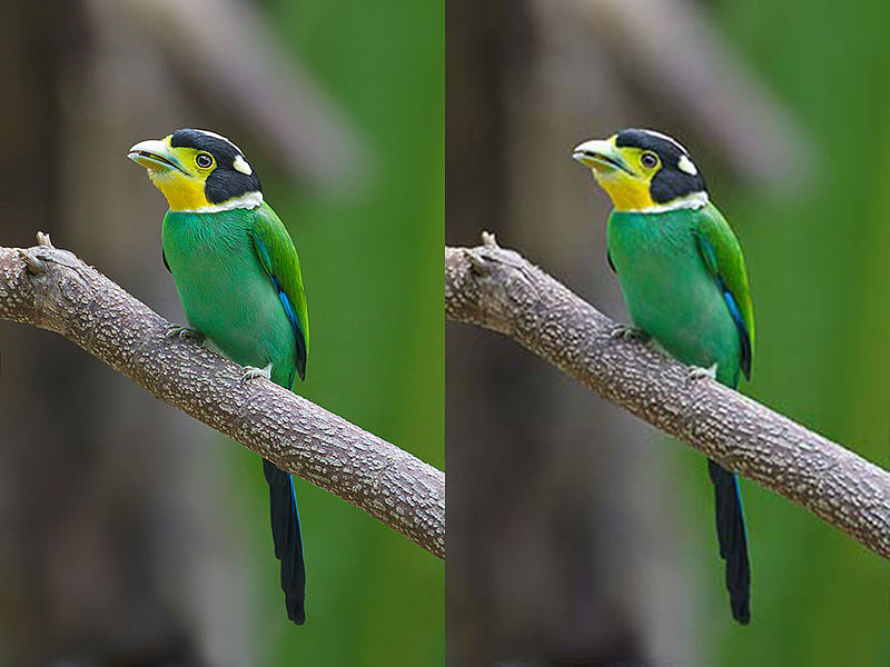 Inneos | Lossy vs. Lossless Compression: Which is Best for High Quality 4K Video? Inneos | Lossy vs. Lossless Compression: Which is Best for High Quality 4K Video?